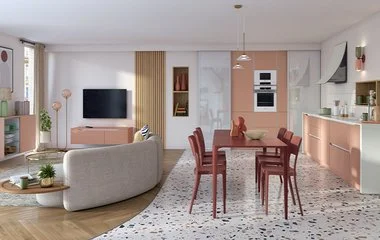 salon-avec-cuisine-ouverte